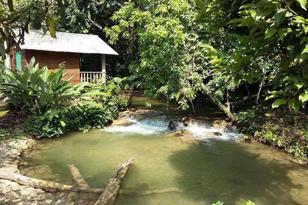 centro-ecoturistico-yaajche-hoteles-en-selva-lacandona