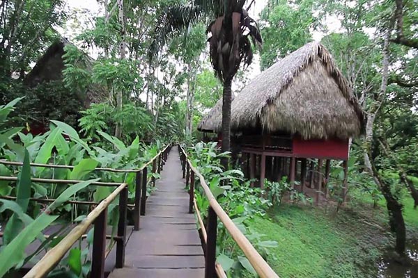hotel-ecoturismo-las-guacamayas-hoteles-en-selva-lacandona
